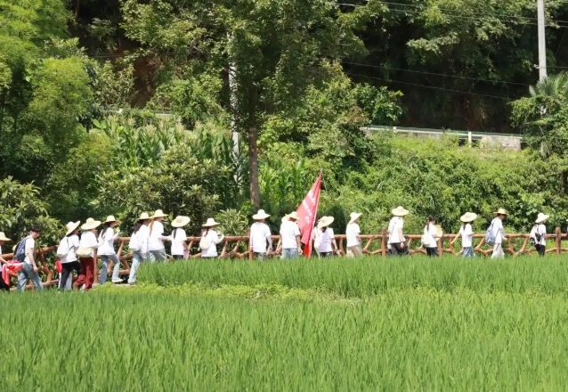 师生看到村庄教育不只发生在讲堂之中也嵌入家庭日子